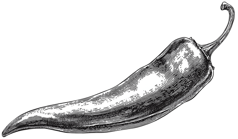 single chili pointing left